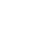 Instagram-175x175-1.png